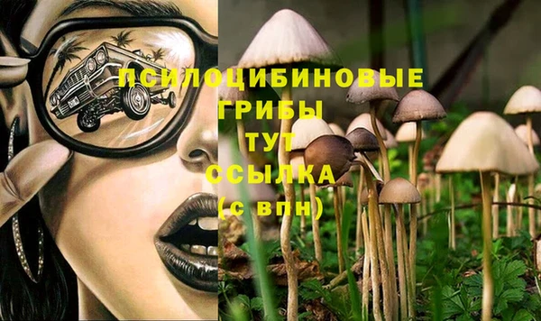 бутират Абинск